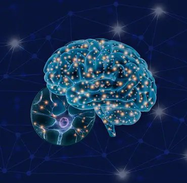 MSc Neuroscience and Psychology of Mental Health Image
