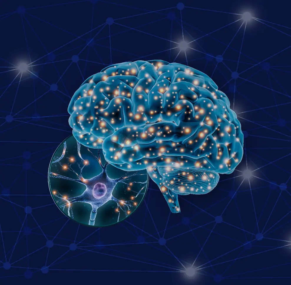 MSc Neuroscience and Psychology of Mental Health Image